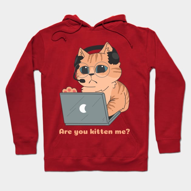 Are You Kitten Me? Hoodie by My Tribe Apparel